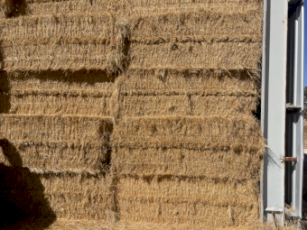 200mt Lucerne and Rye Hay 600kg 8x4x3 Bales