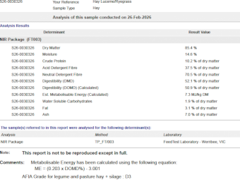 200mt Lucerne and Rye Hay 600kg 8x4x3 Bales