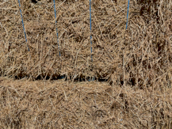 60mt Lucerne Hay 600-640kg 8x4x3 Bales