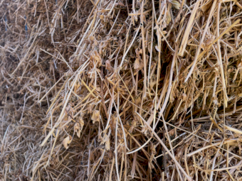 60mt Lucerne Hay 600-640kg 8x4x3 Bales