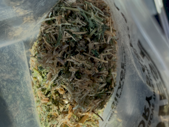 60mt Lucerne Hay 600-640kg 8x4x3 Bales