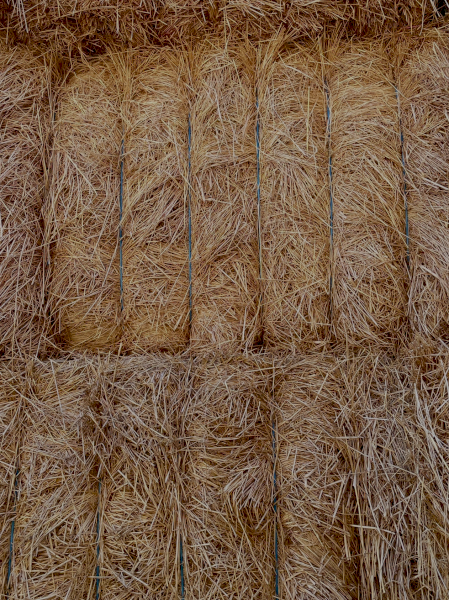 200mt Rye Grass and Clover Hay 500kg 8x4x3 Bales