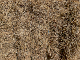 200mt Rye Grass and Clover Hay 500kg 8x4x3 Bales