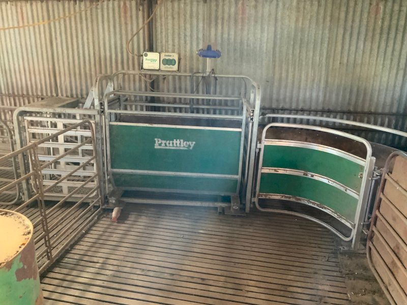 Prattley Auto Weighing Crate