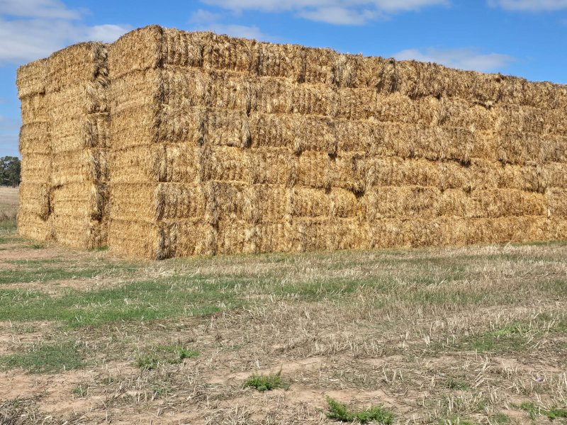 350mt Oaten Hay 550kg 8x4x3 Bales