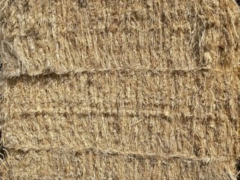 350mt Oaten Hay 550kg 8x4x3 Bales