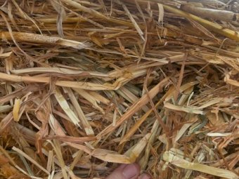 400 x Oaten Hay 5x4 Rolls