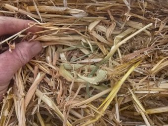 400 x Oaten Hay 5x4 Rolls