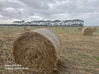 400 x Oaten Hay 5x4 Rolls