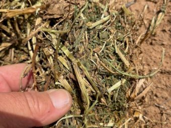 Vetch Hay 8x4x3 Bales