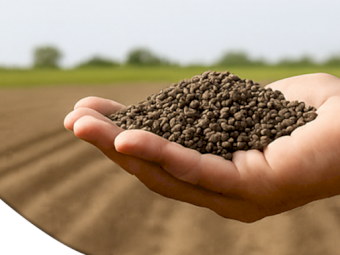 Guano - Ex Edinburough Parks