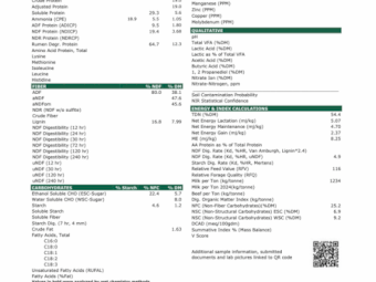 Lucerne Hay 5x4 Round Bales