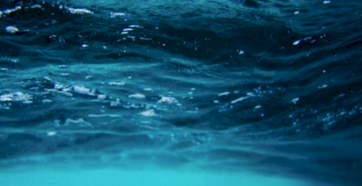 50 Meg litre Groundwater Water Access Licence –Sydney Basin Nepean Zone 2