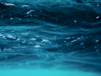 50 Meg litre Groundwater Water Access Licence –Sydney Basin Nepean Zone 2