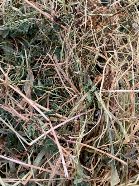 800 x Pasture Hay 500kg 5x4 Rolls