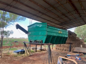 12MT Jetstream Grouper Bin