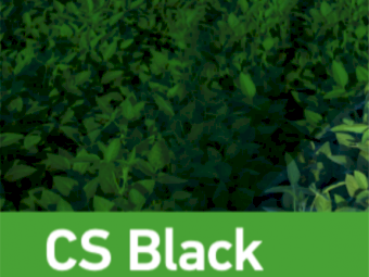 CS Black Liquid Fertliiser