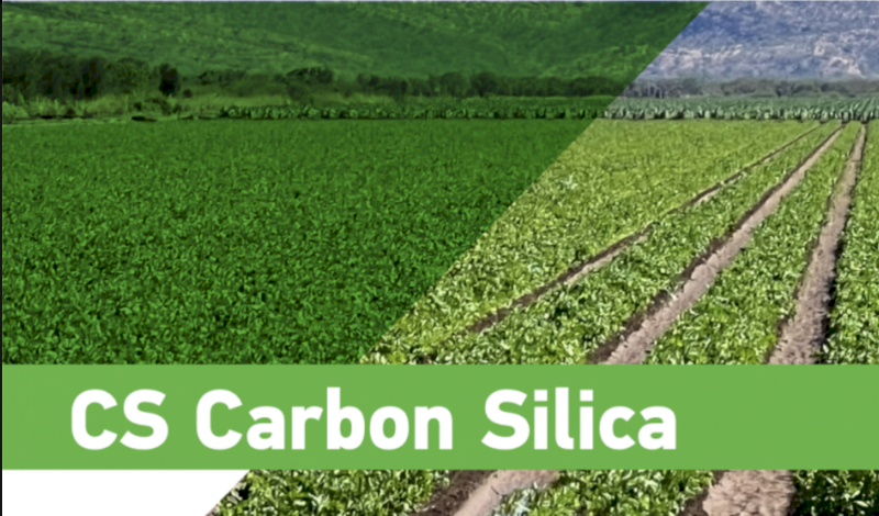 Carbon Silica