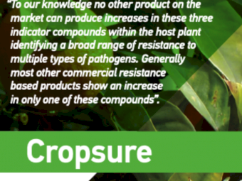 CS Cropsure A+B
