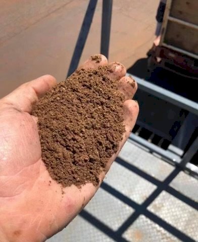 Palm Kernel Extract (Meal) Ex Geelong