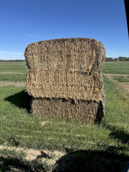 Oaten Hay Top and Bottom Bales