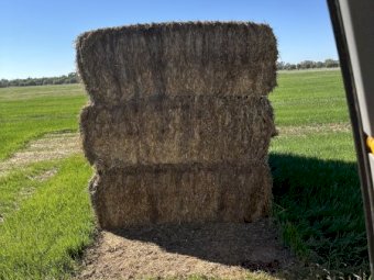 Oaten Hay Top and Bottom Bales