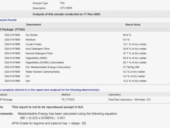 250mt Vetch Hay 650kg 8x4x3 Bales