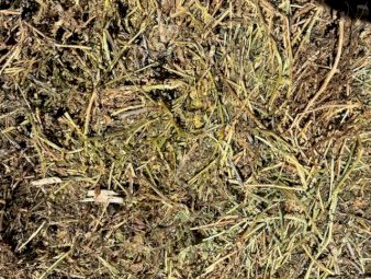 250mt Vetch Hay 650kg 8x4x3 Bales