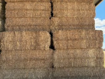 250mt Vetch Hay 650kg 8x4x3 Bales