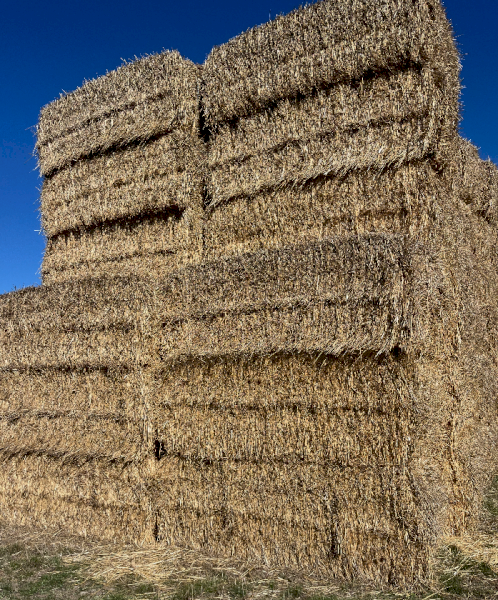 225mt Wheaten Straw 450kg 8x4x3 Bales