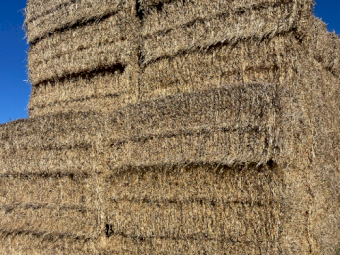 225mt Wheaten Straw 450kg 8x4x3 Bales