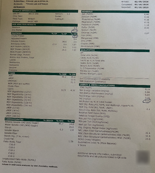 380mt Wheaten Hay 630kg 8x4x3 Bales
