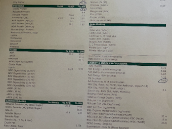 380mt Wheaten Hay 630kg 8x4x3 Bales
