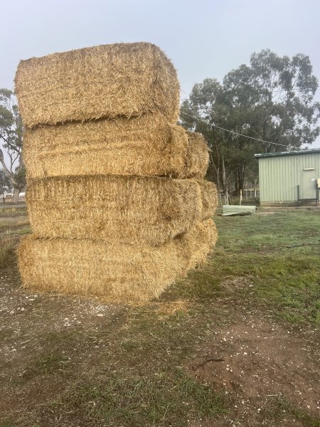 200mt Barley Straw 25/26 Season