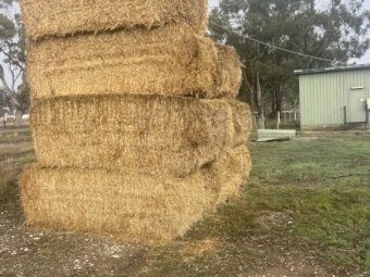 200mt Barley Straw 25/26 Season