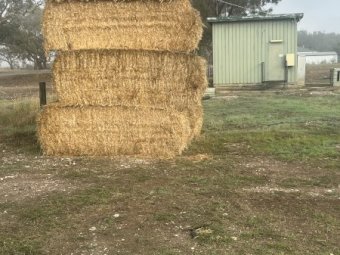 200mt Barley Straw 25/26 Season