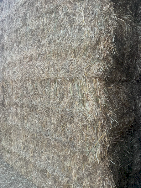 120mt Oaten Hay 650kg 8x4x3 Bales