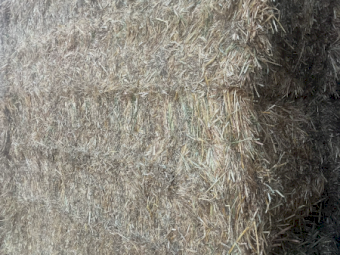 120mt Oaten Hay 650kg 8x4x3 Bales