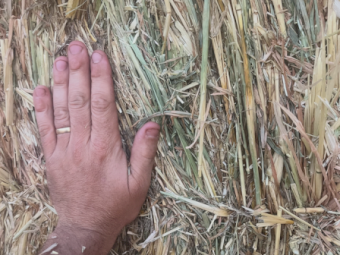 120mt Oaten Hay 650kg 8x4x3 Bales