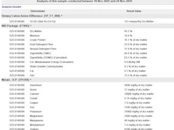 120mt Vetch Hay 8x4x3 Bales