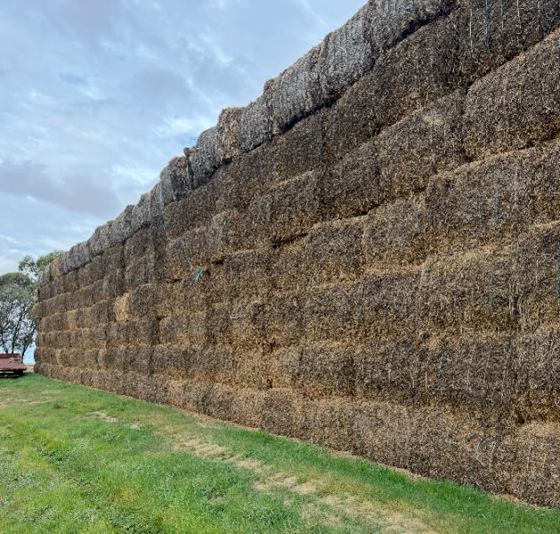112mt Vetch Hay 8x4x3 Bales