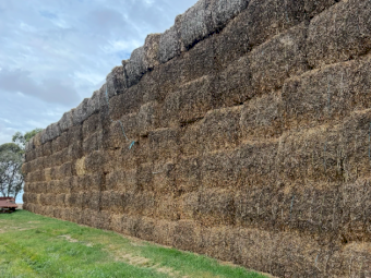 95mt Vetch Hay 8x4x3 Bales