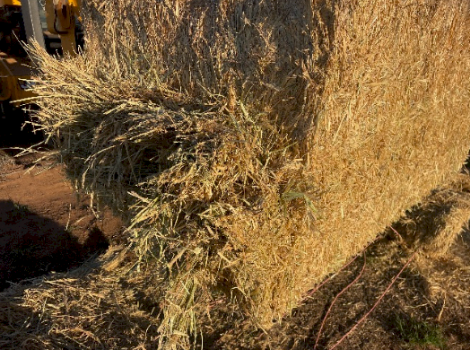 900mt Wheaten Hay 650-680kg 8x4x3 Bales