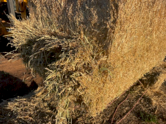 900mt Wheaten Hay 650-680kg 8x4x3 Bales