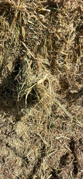 1000 mt Oaten/Rye Hay