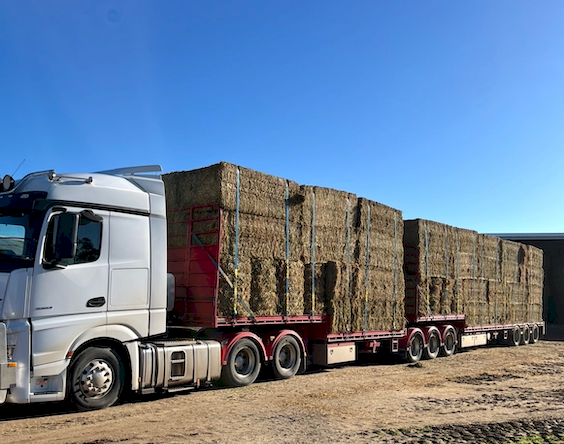 200mt Vetch Hay 650-680kg 8x4x3 Bales