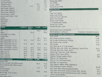 200mt Vetch Hay 650-680kg 8x4x3 Bales