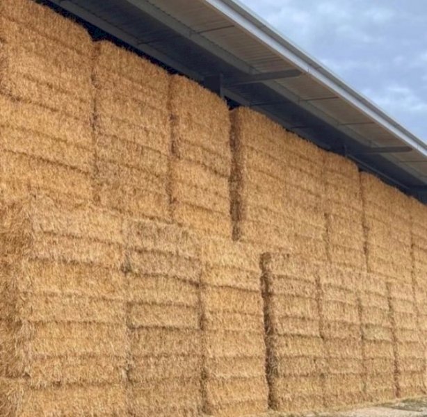 200mt Oaten Hay 620-650kg 8x4x3 Bales