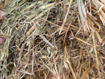 200mt Oaten Hay 620-650kg 8x4x3 Bales