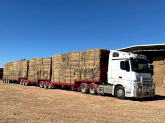 55mt Clover Hay 640kg 8x4x3 Bales
